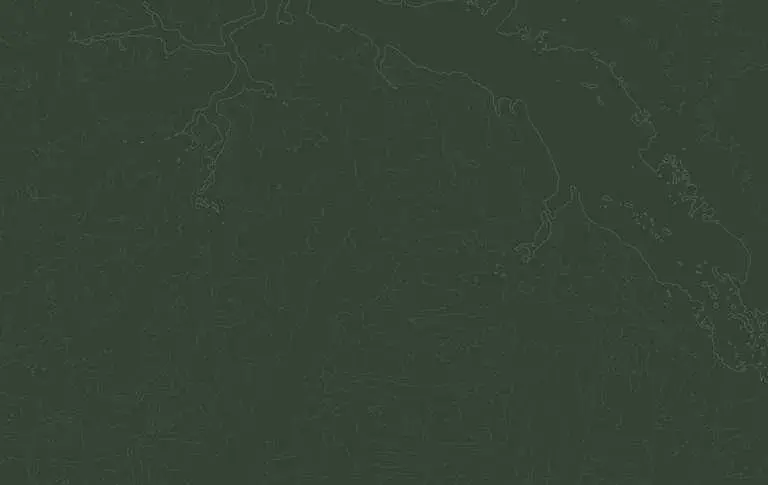 Atrakcje w Trzebini, które zaskoczą całą rodzinę i zapewnią świetną zabawę