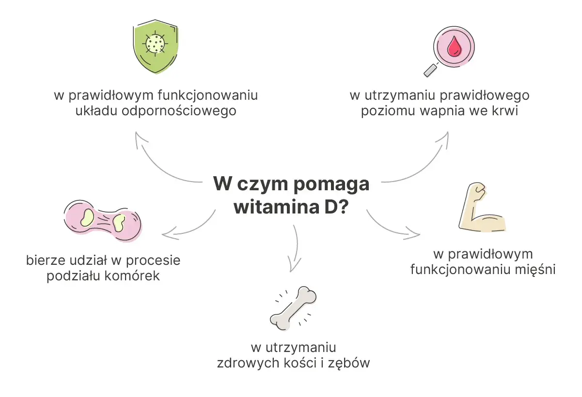 W czym pomaga witamina D? Wspiera odporność, prawidłowy poziom wapnia, mięśnie, kości, zęby i podział komórek.