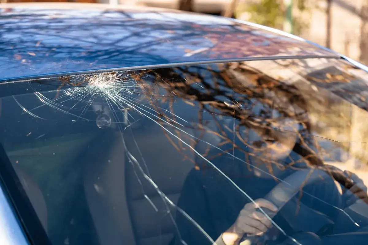 Un parabrezza rotto mostra una ragnatela di crepe che si irradiano da un punto d'impatto. Riflessi di alberi e una persona al volante sono visibili attraverso il vetro danneggiato.