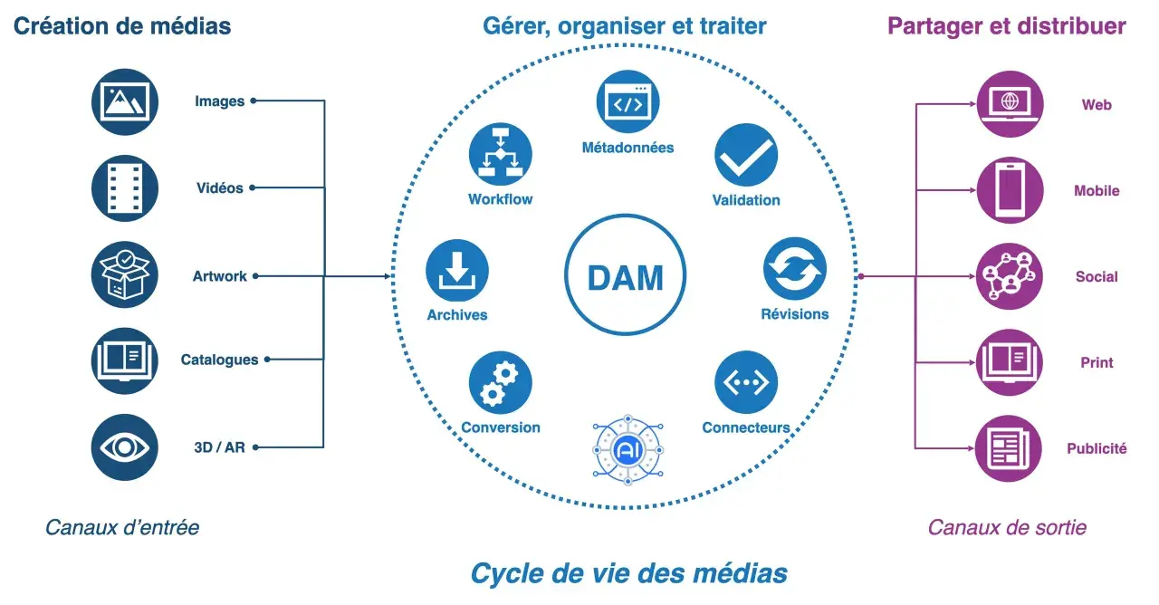 Schéma du cycle de vie des médias : création, gestion (DAM), et distribution. Essentiel pour le dam marketing.
