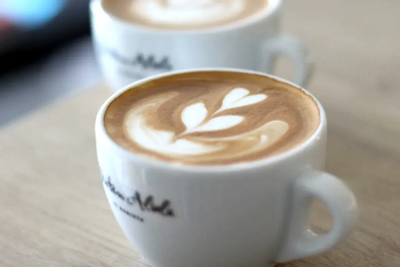 Zwei Tassen Cappuccino mit Latte Art, die an Blätter erinnert. Perfekt für Ihre eigenen Cappuccino Rezepte.