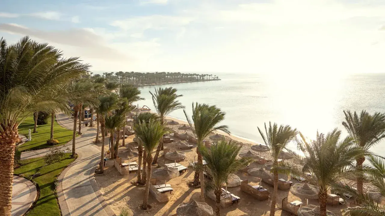 Rajski widok na plażę z palmami, leżakami i parasolami. Słońce odbija się w spokojnym morzu. Idealne miejsce na relaks w Palm Royale Soma Bay.