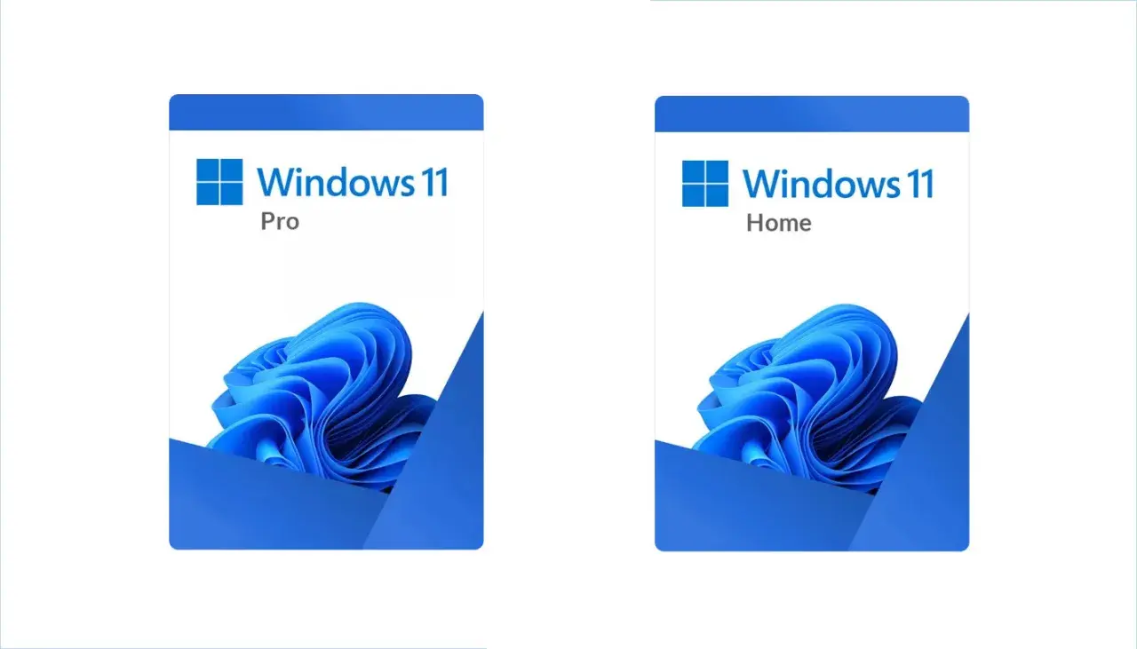 Dwa opakowania Windows 11: Pro i Home, z niebieskim logo i falistym wzorem.