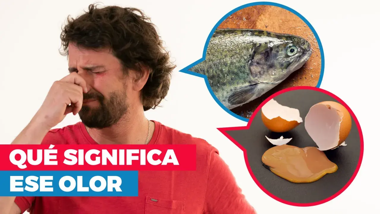Hombre con cara de asco, tapándose la nariz. Un pez y un huevo roto sugieren un olor a amoniaco.