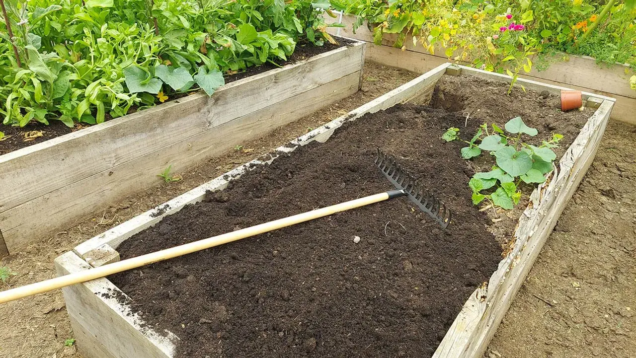 Ein Rechen liegt auf frisch aufgeschütteter Erde, bereit, das Hochbeet zu erneuern. Daneben wachsen bereits junge Pflanzen.
