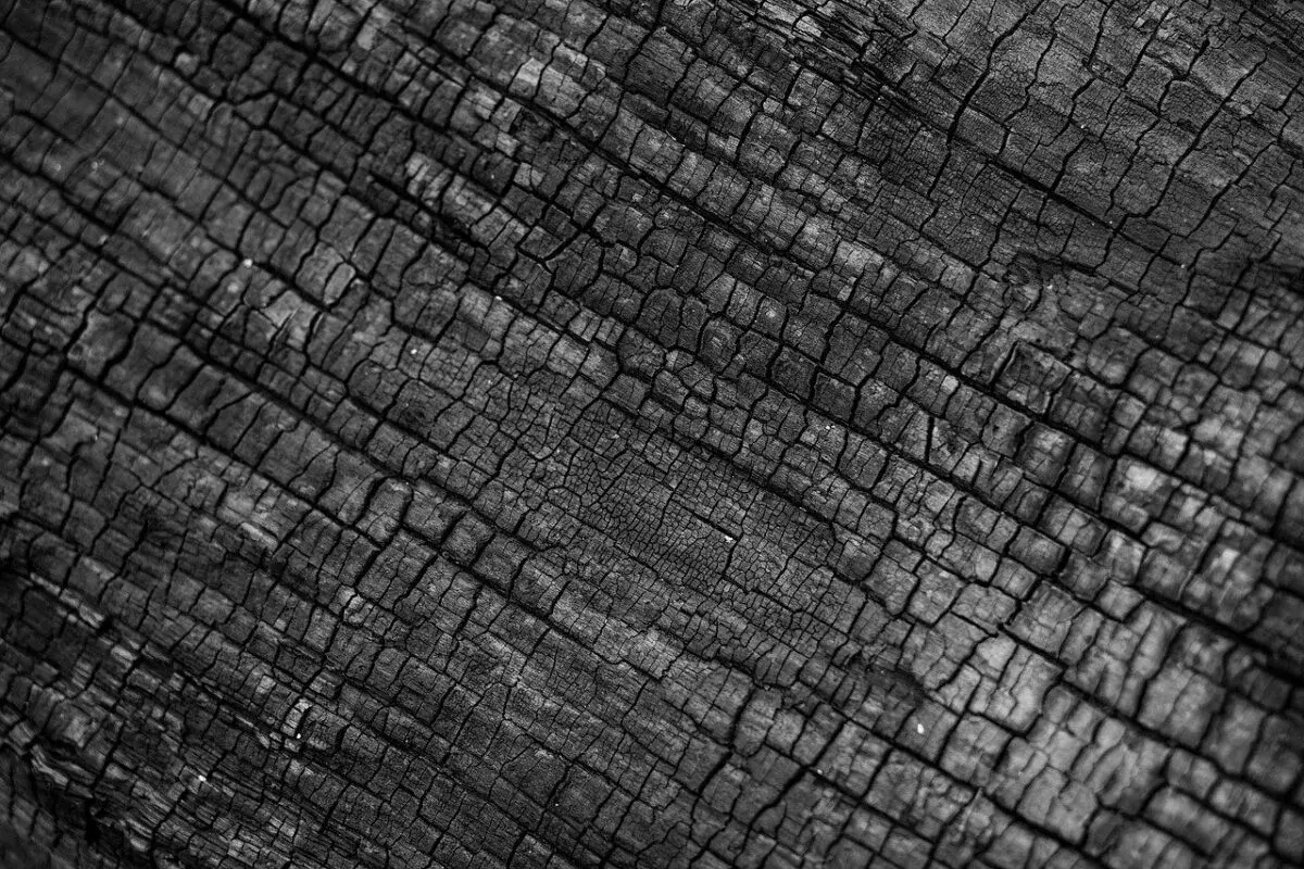 Nahaufnahme von verkohltem Holz, das die charakteristische Textur von Shou Sugi Ban zeigt. Die Risse und Muster sind tief und faszinierend.