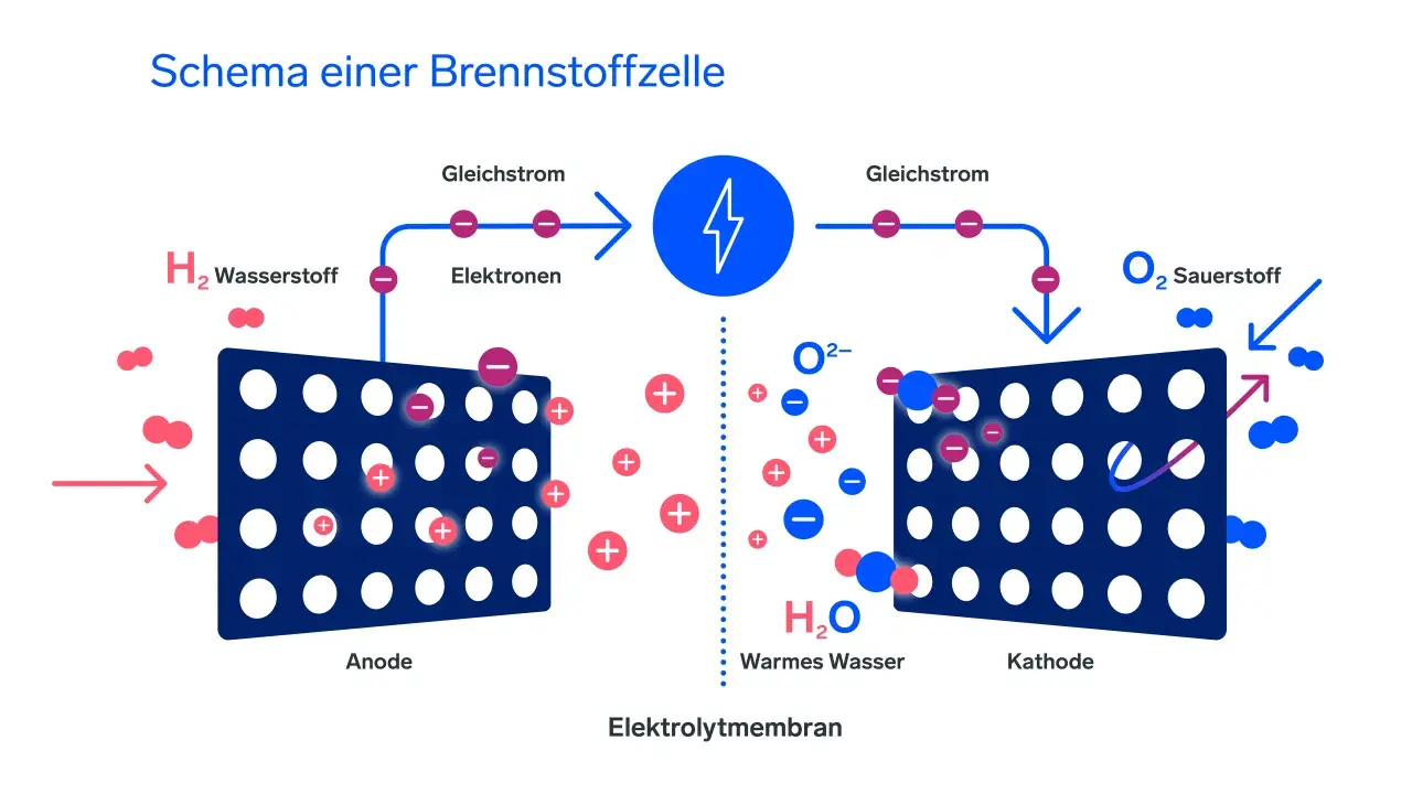 Schema einer Brennstoffzelle: Wasserstoff wird an der Anode in Elektronen und Protonen aufgespalten. Die Nachteile der Brennstoffzelle sind u.a. die Kosten.