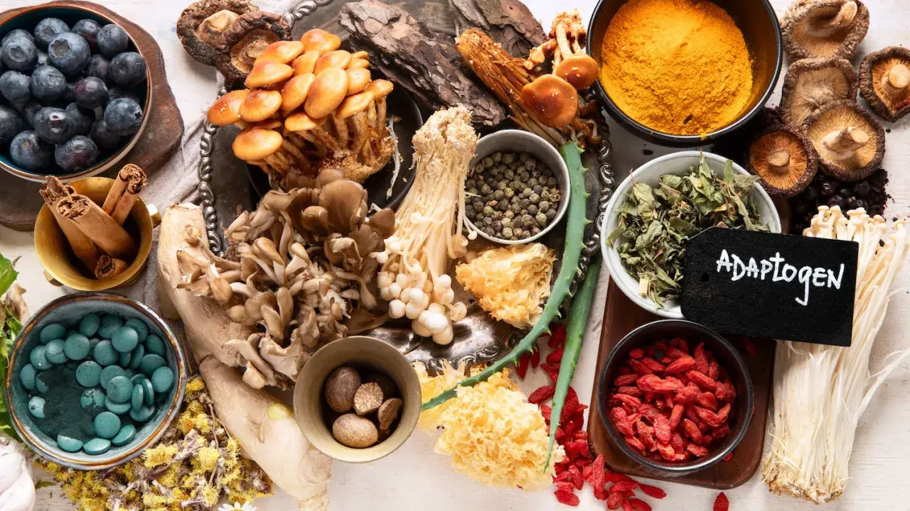 Vielfalt an adaptogenen Pflanzen: Blaubeeren, Pilze, Zimt, Kurkuma, Goji-Beeren und mehr.