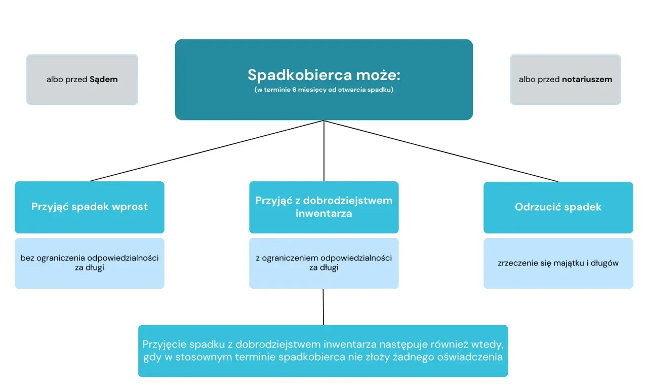 Schemat pokazuje opcje spadkobiercy: przyjąć spadek wprost, z dobrodziejstwem inwentarza lub odrzucić. Intercyza a dziedziczenie - ważne decyzje.