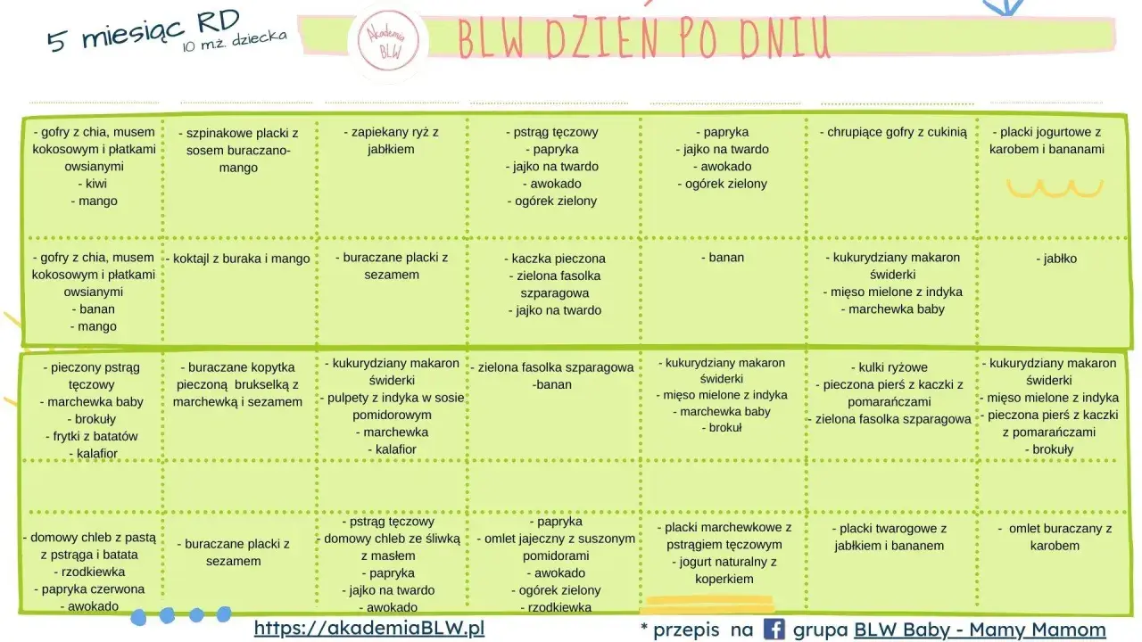 Tabela z propozycjami posiłków dla niemowląt od 5 miesiąca, uwzględniająca blw od kiedy. Znajdziesz tu pomysły na śniadania, obiady i kolacje.