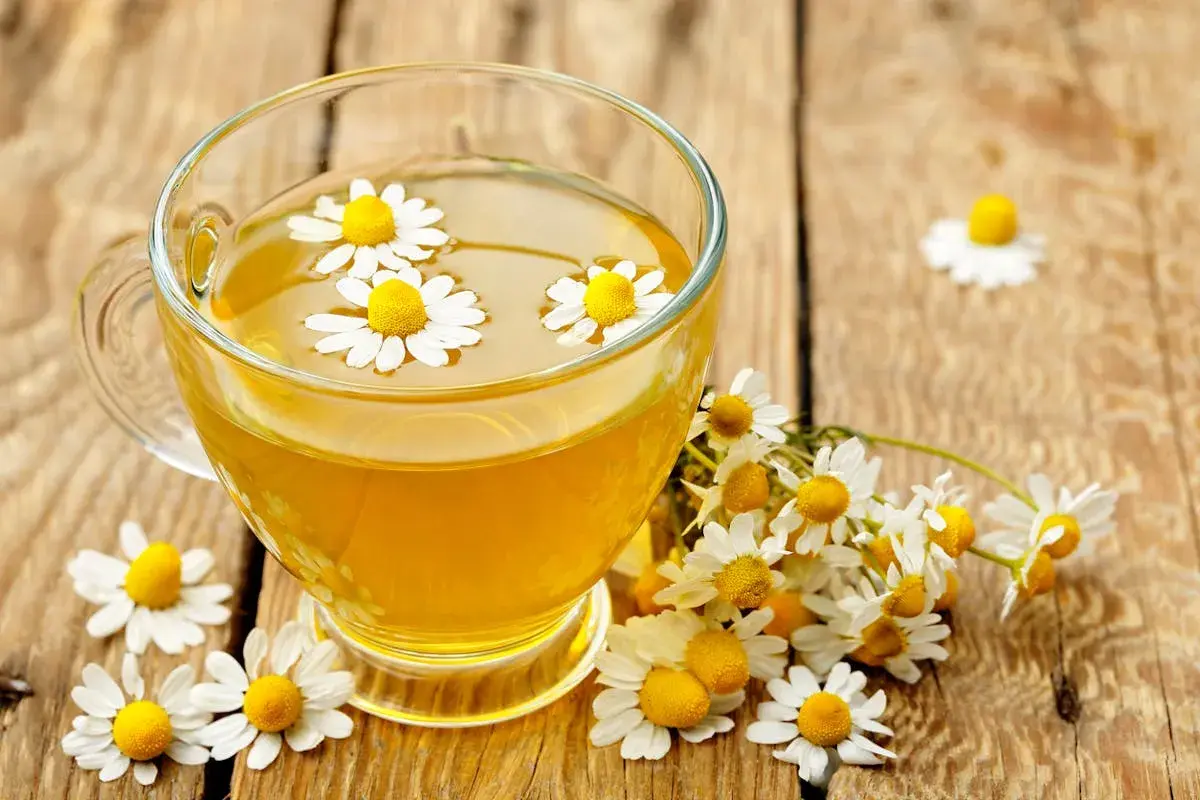 Une tasse de tisane dorée avec des fleurs de camomille flottantes, entourée de fleurs fraîches. Un rappel des bienfaits apaisants de la camomille.