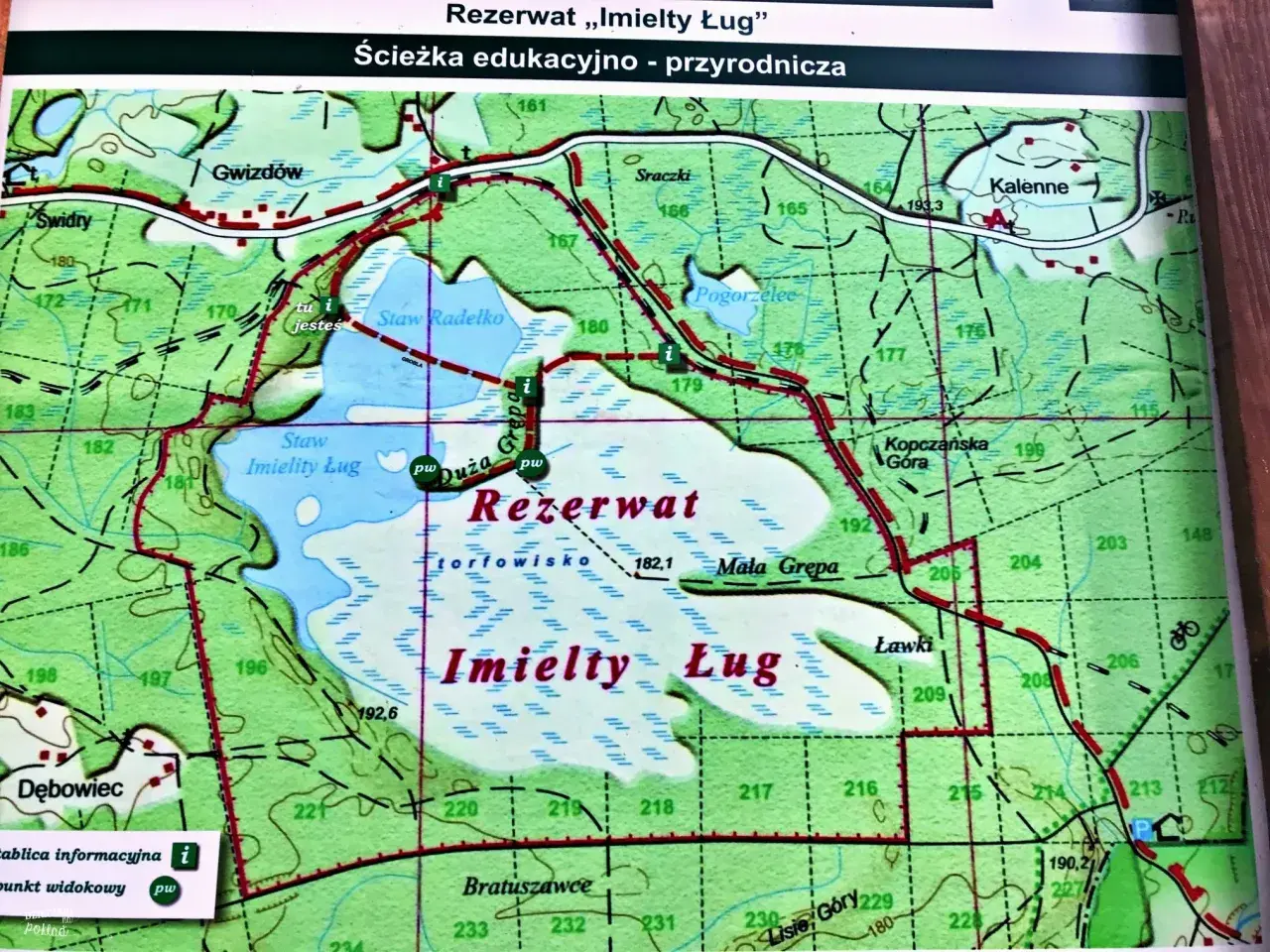 Mapa ścieżki edukacyjnej „Imielty Ług” w lasach janowskich. Atrakcje przyrodnicze, punkty widokowe i miejsca odpoczynku.