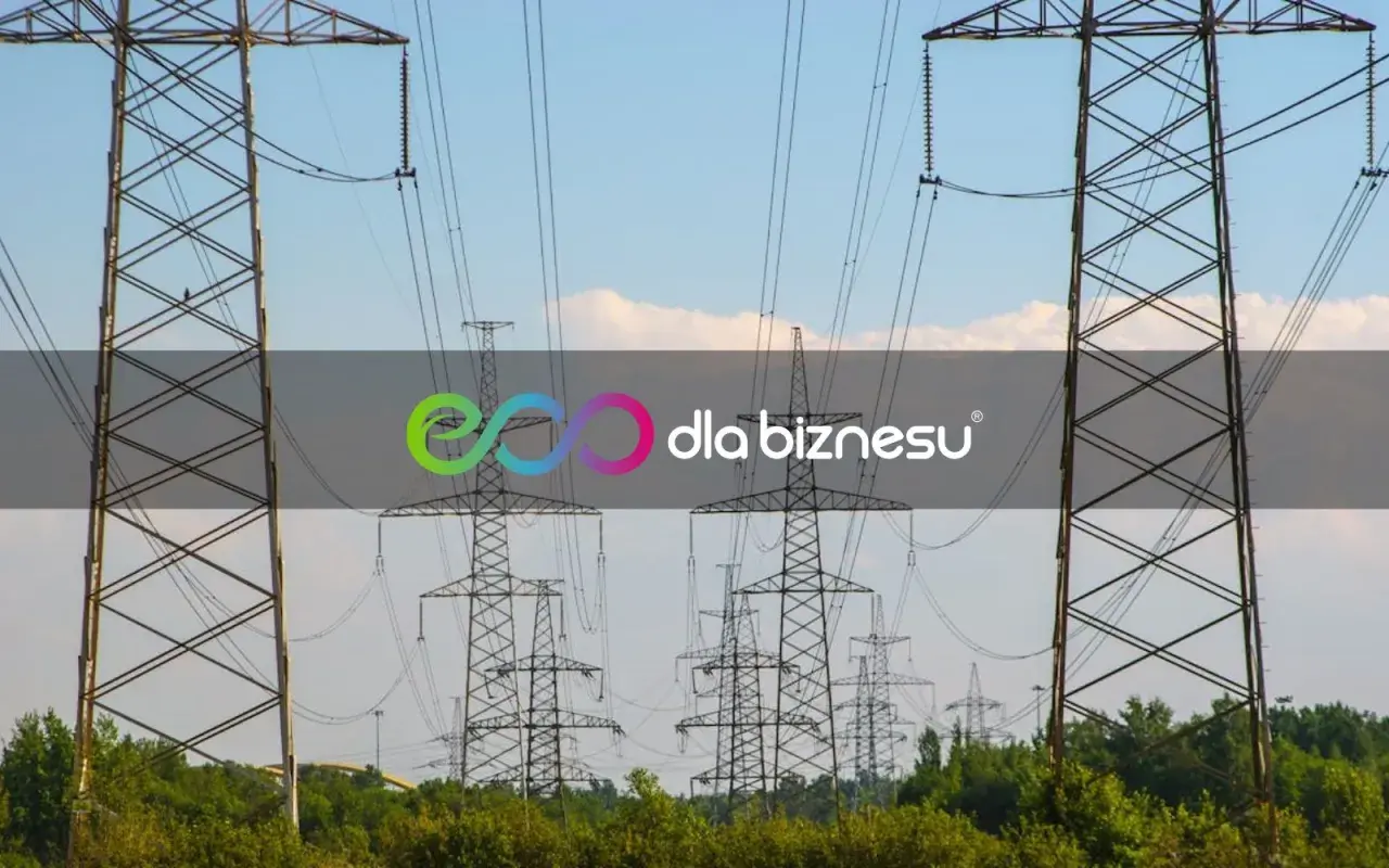 Wysokie słupy energetyczne na tle błękitnego nieba. Logo "dla biznesu" sugeruje, że warto sprawdzić, ile kosztuje kWh.