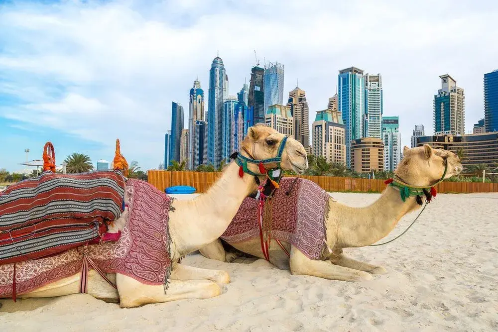 Gdzie leżą Zjednoczone Emiraty Arabskie? Odkryj ich położenie i sąsiadów