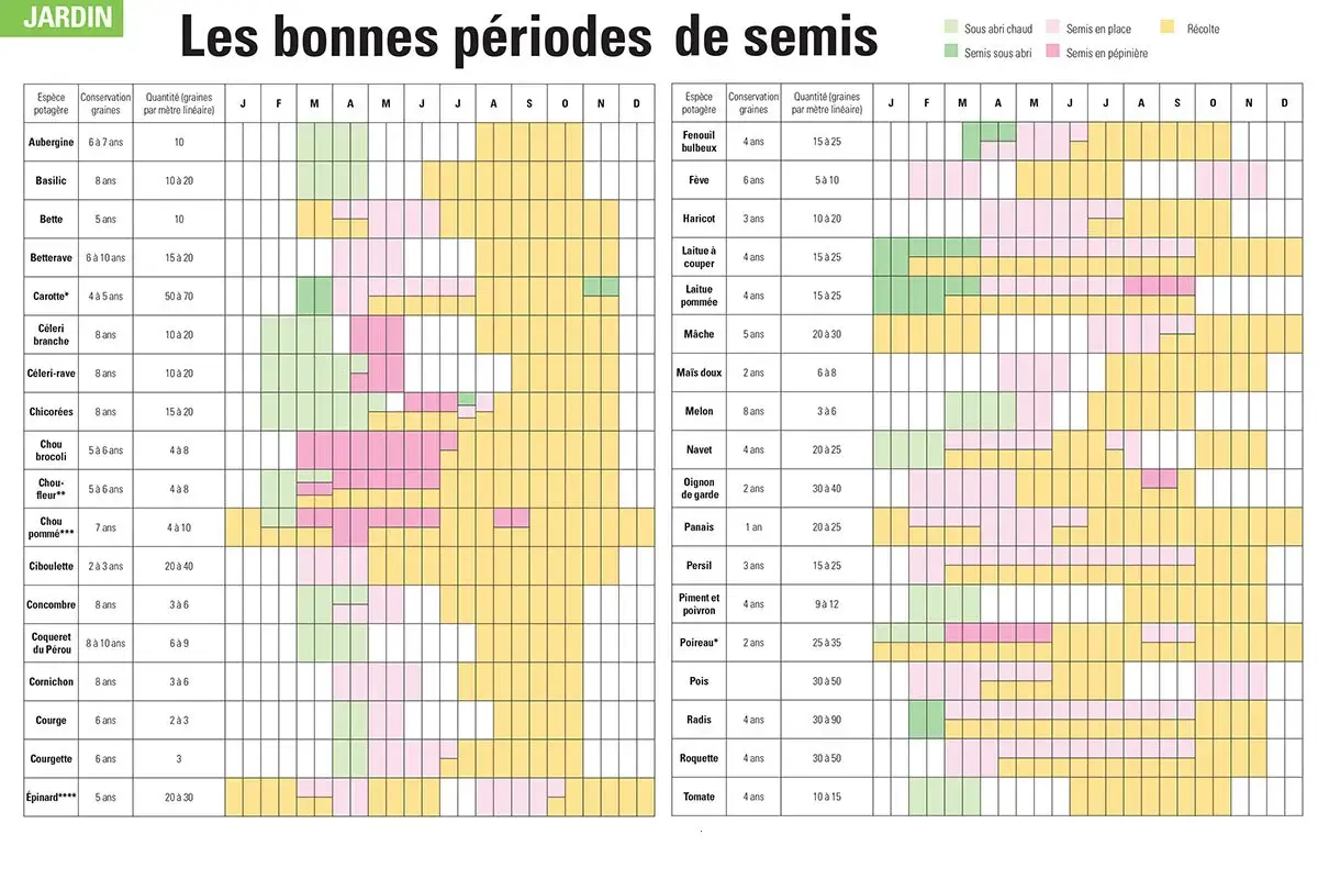 Calendrier des semis de céréales et légumes : Semis sous abri, en place, en pépinière et récolte pour de nombreuses espèces potagères.