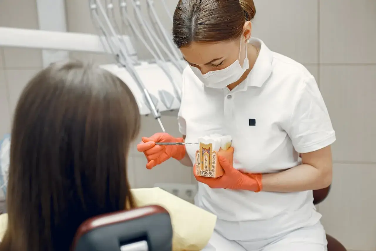 Dentystka w rękawiczkach pokazuje pacjentowi model zęba, wyjaśniając procedurę hemisekcji zęba.
