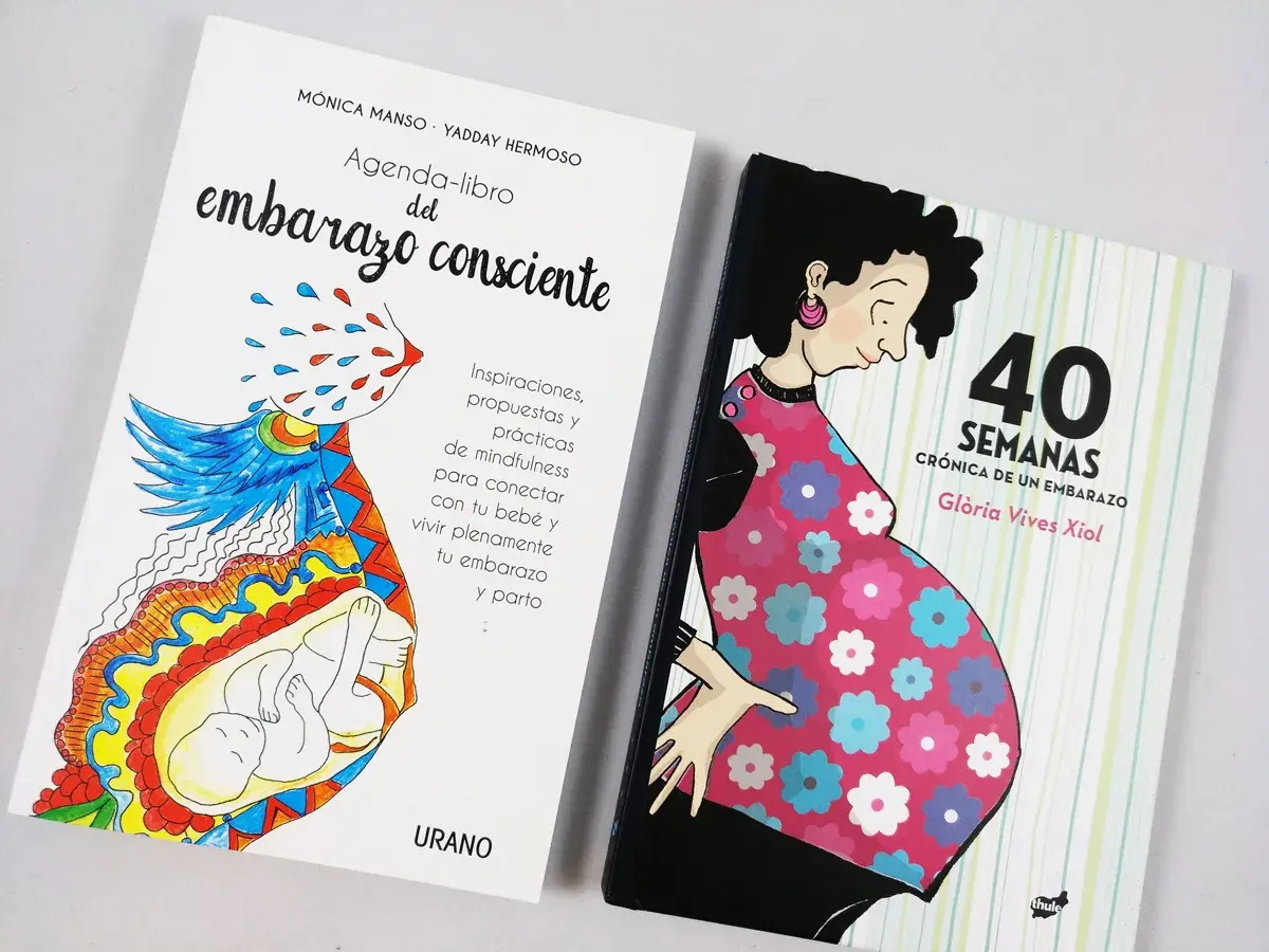 Dos libros sobre el embarazo: "Agenda-libro del embarazo consciente" y "40 semanas, crónica de un embarazo". Son como cuentos para adolescentes que esperan un bebé.