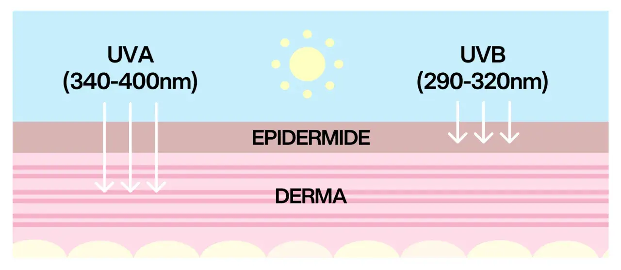 Raggi UVA e UVB penetrano nell'epidermide e nel derma, mostrando le diverse profondità di assorbimento.