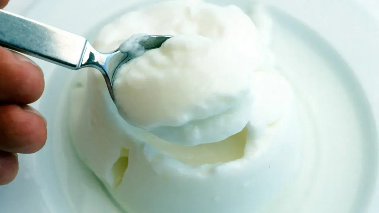 Cremiger Joghurt, eine köstliche Alternative zu saurer Sahne, wird mit einem Löffel aus einer Schüssel gehoben.