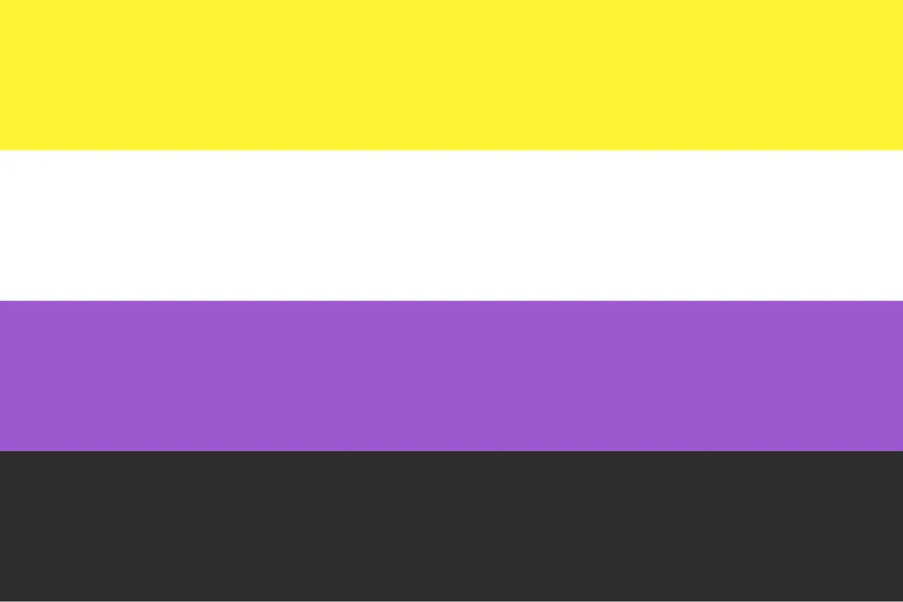 Bandiera non binaria: giallo, bianco, viola e nero. Rappresenta l'identità di genere che non rientra nelle categorie di uomo o donna, un significato di inclusione.