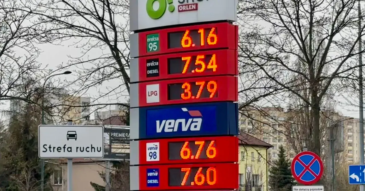 Cena paliwa diesel na Orlenie: 7,54 zł za Efecta Diesel i 7,60 zł za Verva Diesel. Obok widoczne ceny benzyny i LPG.