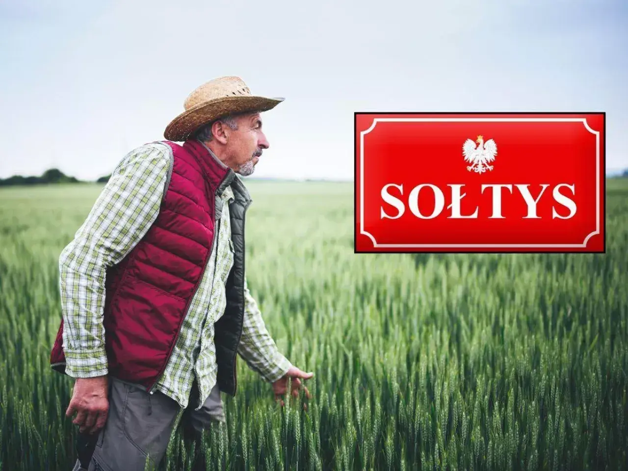 Sołtys w słomkowym kapeluszu i kamizelce przemierza pole zboża, obok tabliczka z godłem Polski i napisem "SOŁTYS".