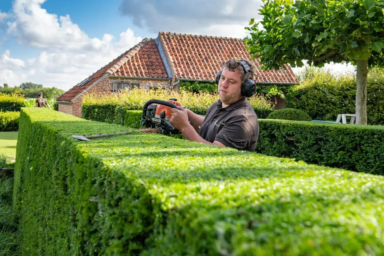 Mann mit Kopfhörern schneidet bei Hitze die Hecke mit einer Heckenschere.