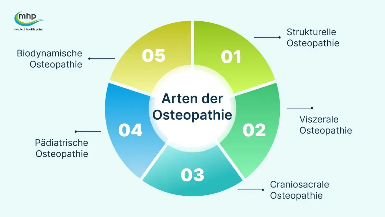 Infografik zeigt verschiedene Osteopathie-Arten: Strukturelle, Viszerale, Craniosacrale, Pädiatrische und Biodynamische. Wann geht man zum Osteopathen? Bei Beschwerden in diesen Bereichen.