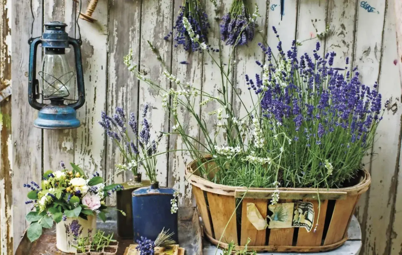 En stor korg med lavendel i kruka, bredvid en blå lykta och en bukett blommor.