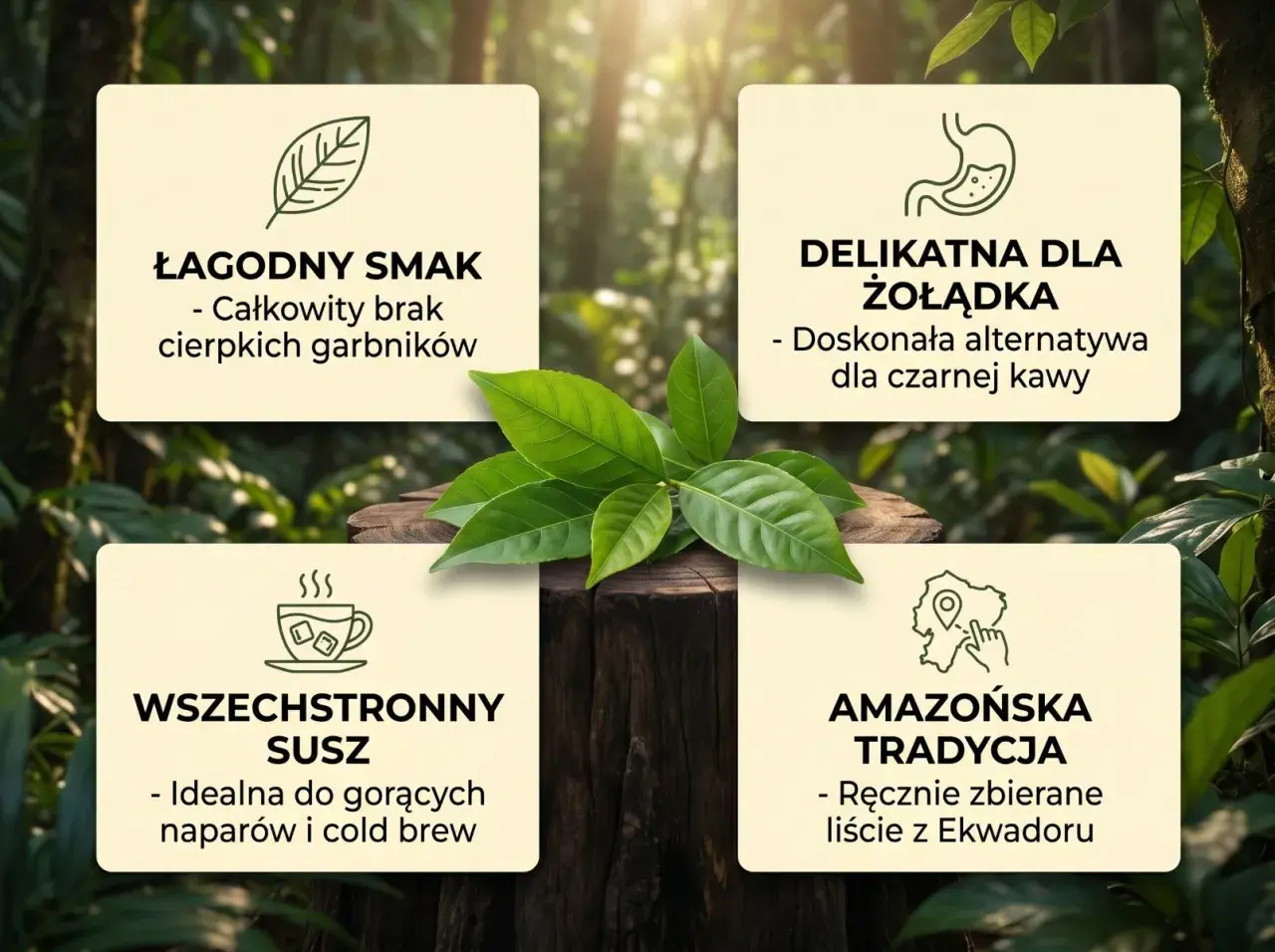 Guayusa: łagodny smak, delikatna dla żołądka, wszechstronny susz. Jak parzyć? Idealna do gorących naparów i cold brew.
