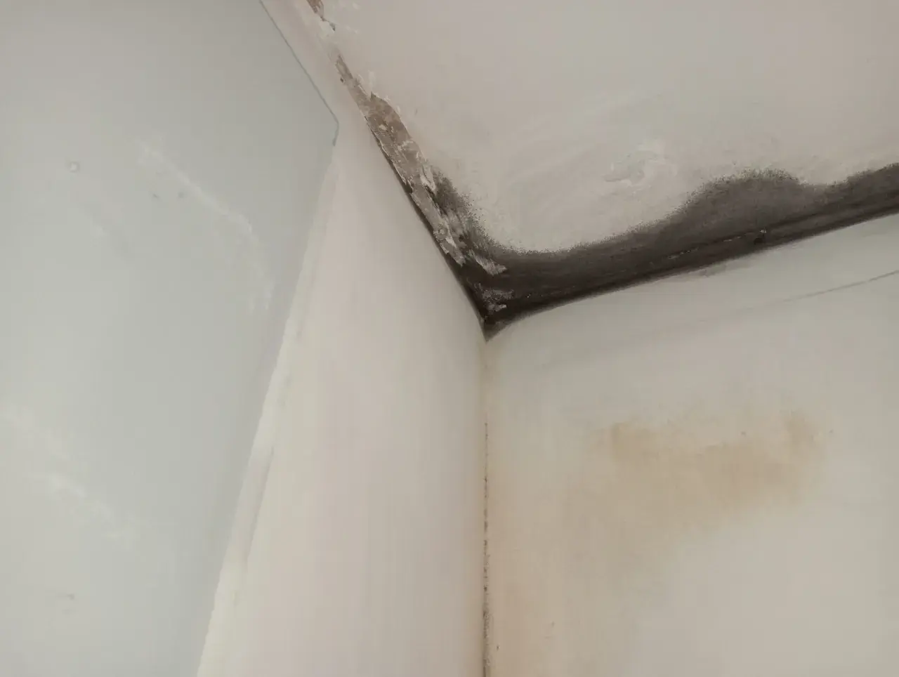 Angolo di una stanza con muffa e macchie d'acqua sul soffitto e sulla parete, un problema comune quando si cerca di come isolare una parete interna esposta a nord.