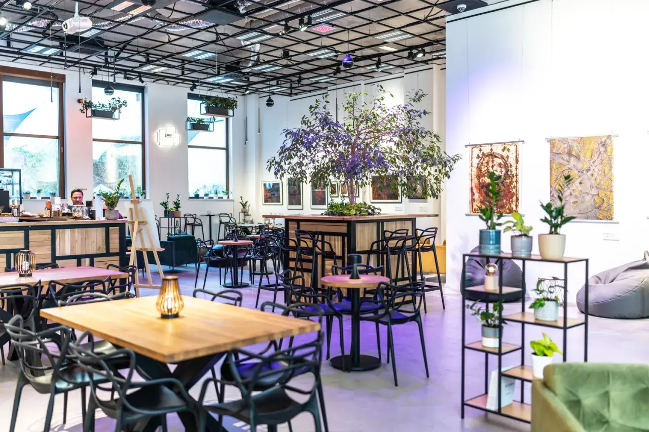 Wrocław gdzie zjeść: najlepsze restauracje na każdą okazję