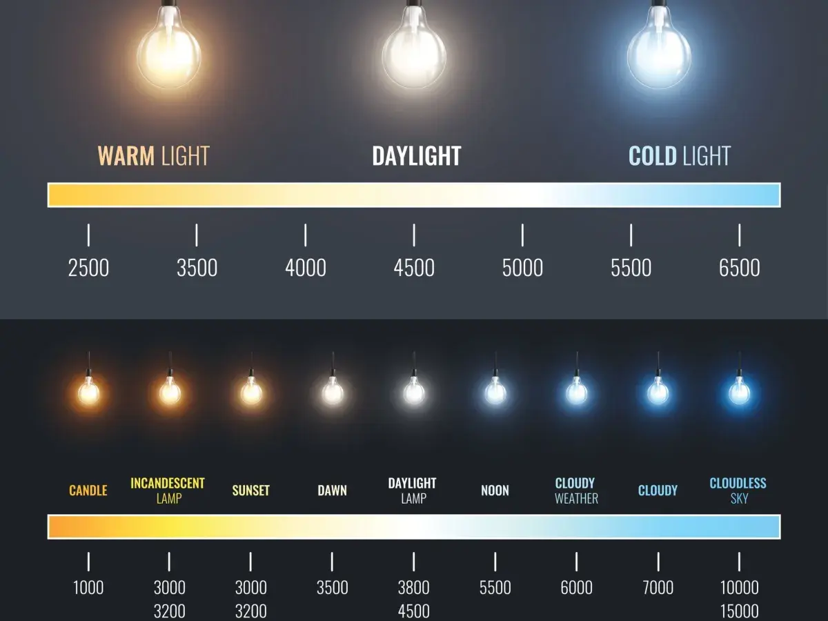 Escala de luz: de cálido a frío, con ejemplos de bombillas y condiciones de luz natural.