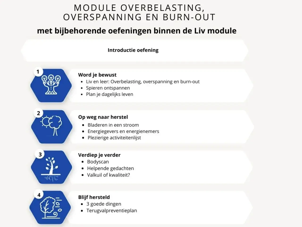 Stappenplan voor energie in balans: bewustwording, herstel, verdieping en behoud. Oefeningen voor overbelasting, overspanning en burn-out.