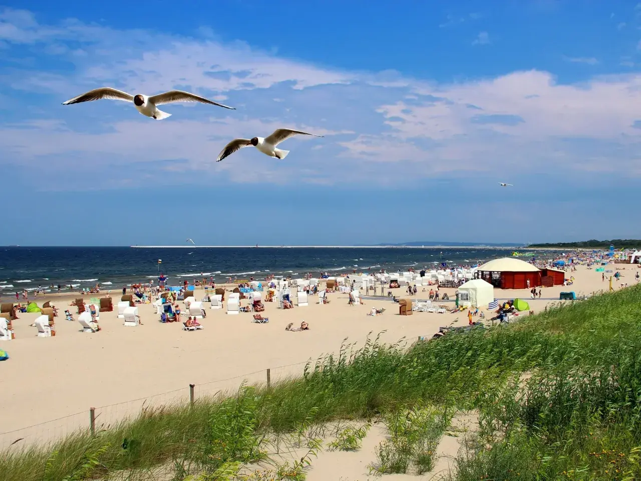 Słoneczna plaża pełna ludzi, leżaków i parawanów. Nad głowami szybują mewy, a w oddali widać morze, które kusi najcieplejszą wodą w Bałtyku.