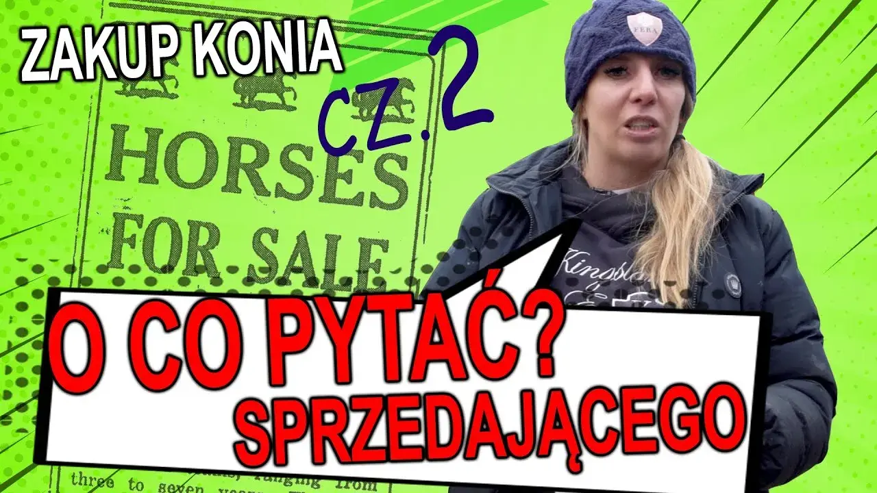 Jak kupić konia: uniknij najczęstszych błędów i wybierz mądrze