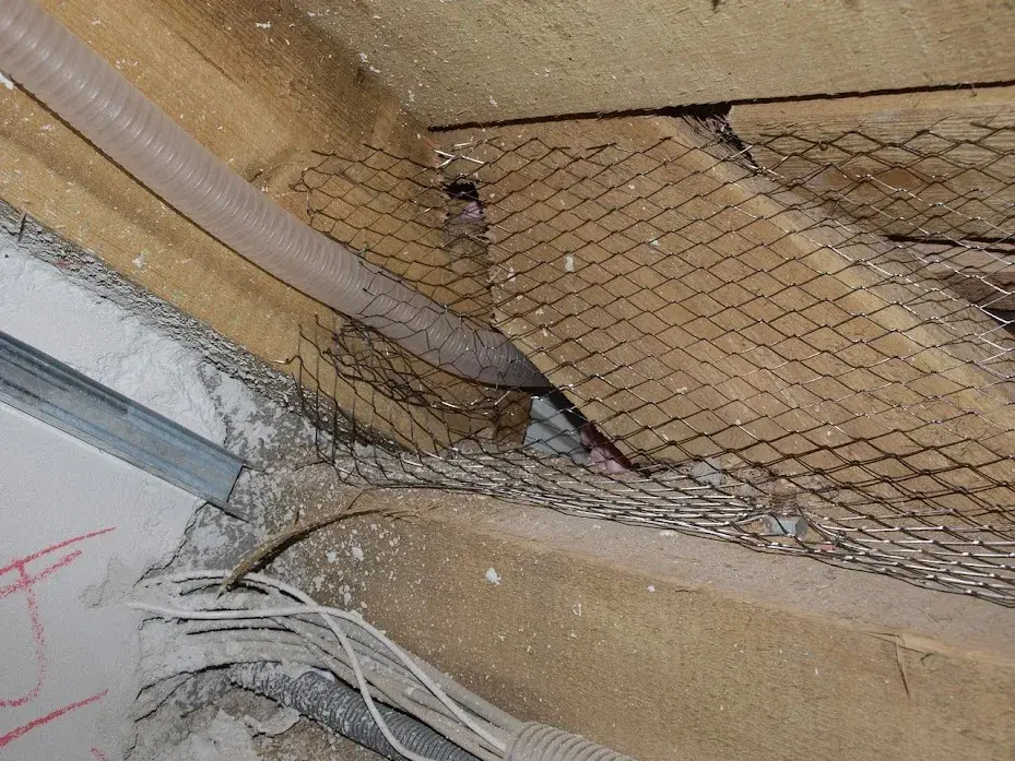 Skuteczne sposoby na zabezpieczenie dachu przed kunami w Twoim domu