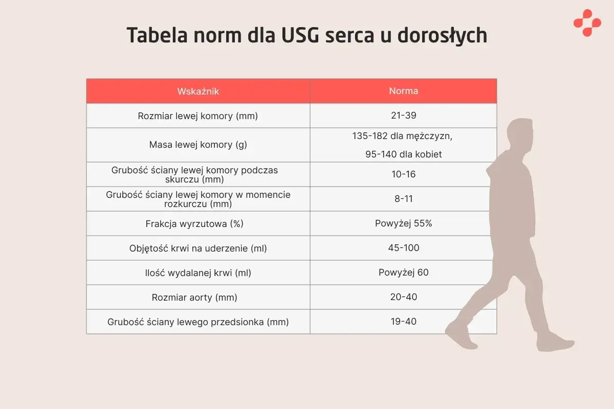 Tabela norm dla USG serca u dorosłych, prezentująca najdokładniejsze badanie serca. Wskazuje wymiary, masę i grubości ścian serca, frakcję wyrzutową, objętość krwi oraz rozmiar aorty.