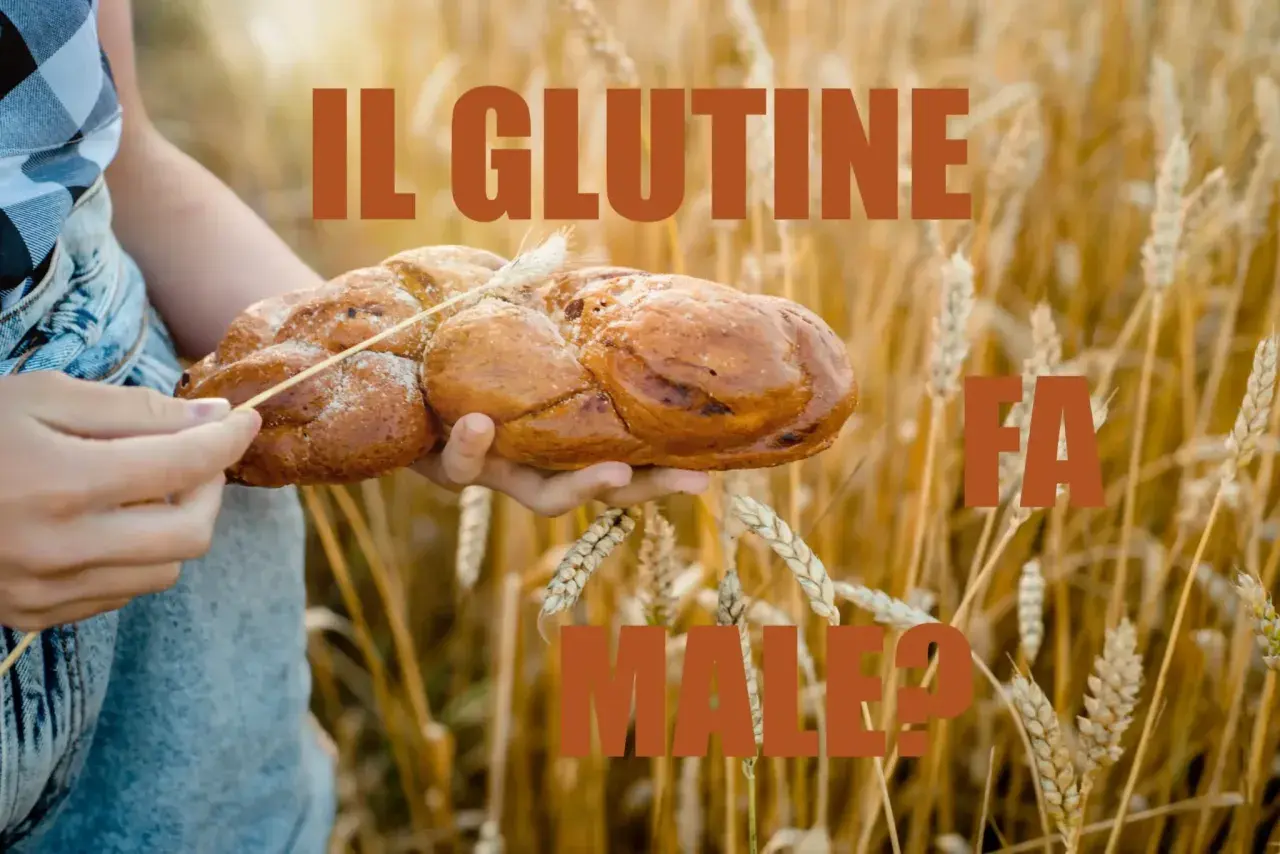 Mani che tengono un pane intrecciato in un campo di grano. Il testo dice "IL GLUTINE FA MALE?". L'orzo contiene glutine.