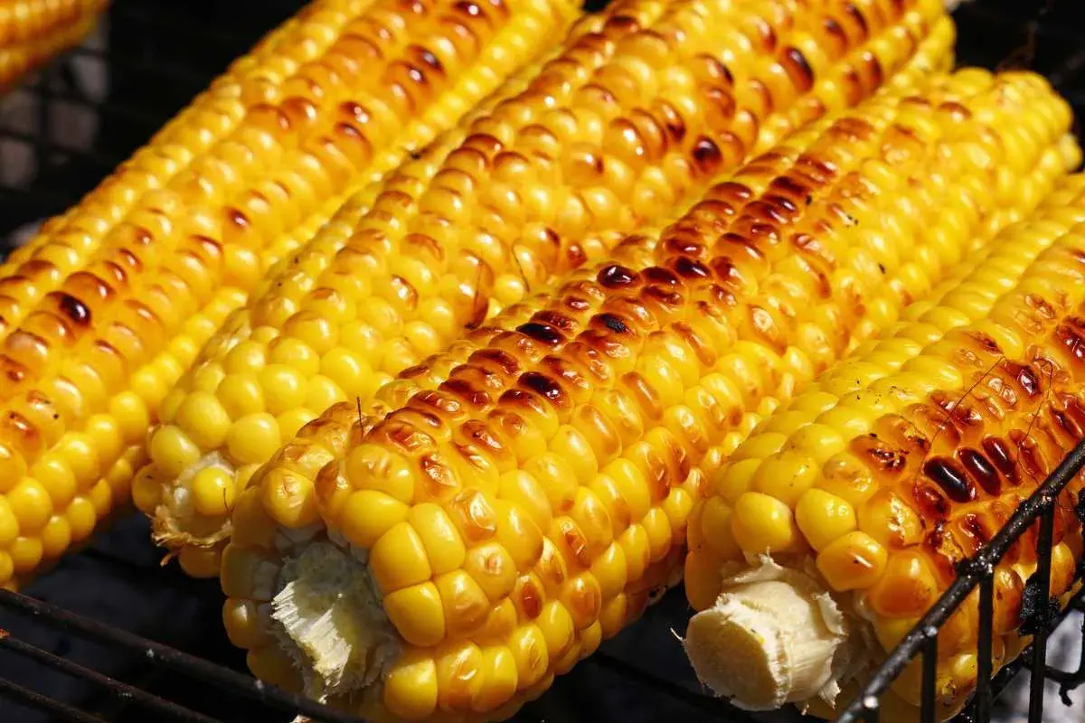Pannocchie dorate e leggermente abbrustolite, pronte per essere gustate. Perfette cotte in friggitrice ad aria per un sapore unico.