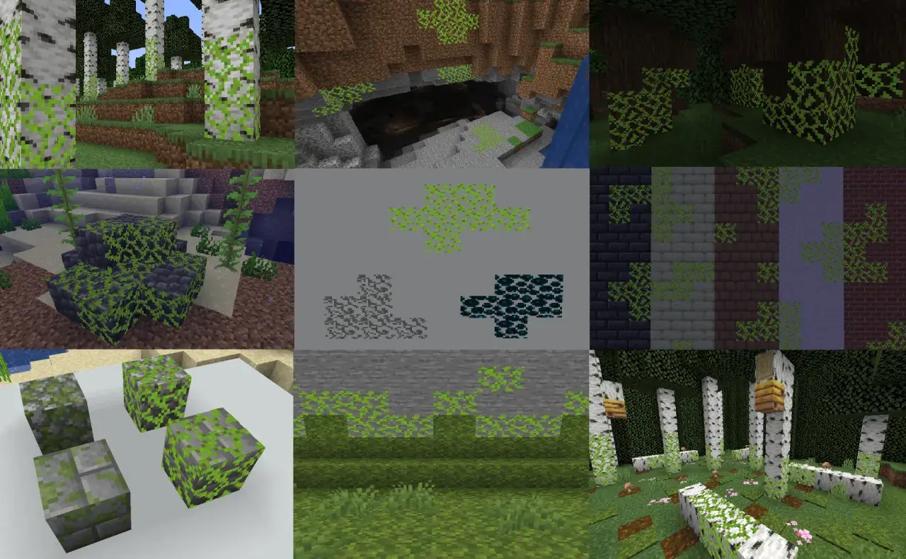 Blok mchu Minecraft w różnych odsłonach: na drzewach, kamieniach, w jaskiniach i pod wodą.