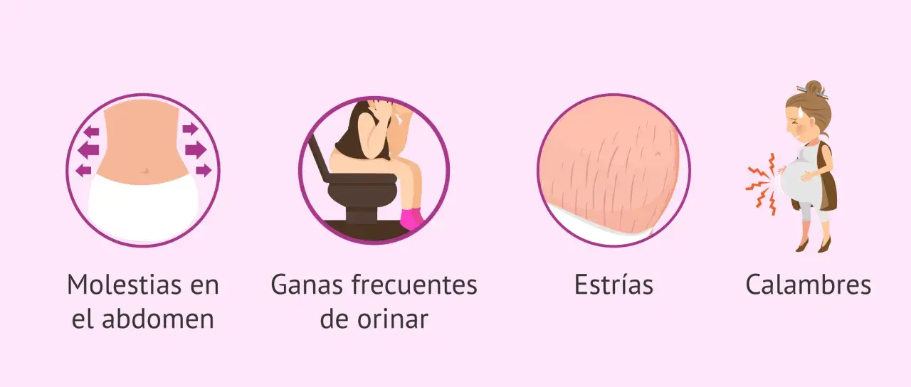 Ilustraciones de molestias comunes en **17 semanas de embarazo**: abdomen, ganas de orinar, estrías y calambres.