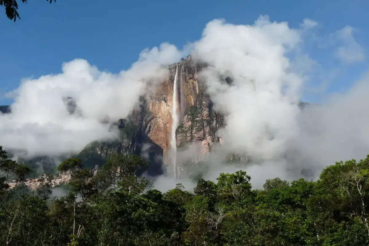 Der Salto Ángel, ein majestätischer Wasserfall, stürzt von einem Tafelberg, umgeben von Wolken und üppigem Dschungel.