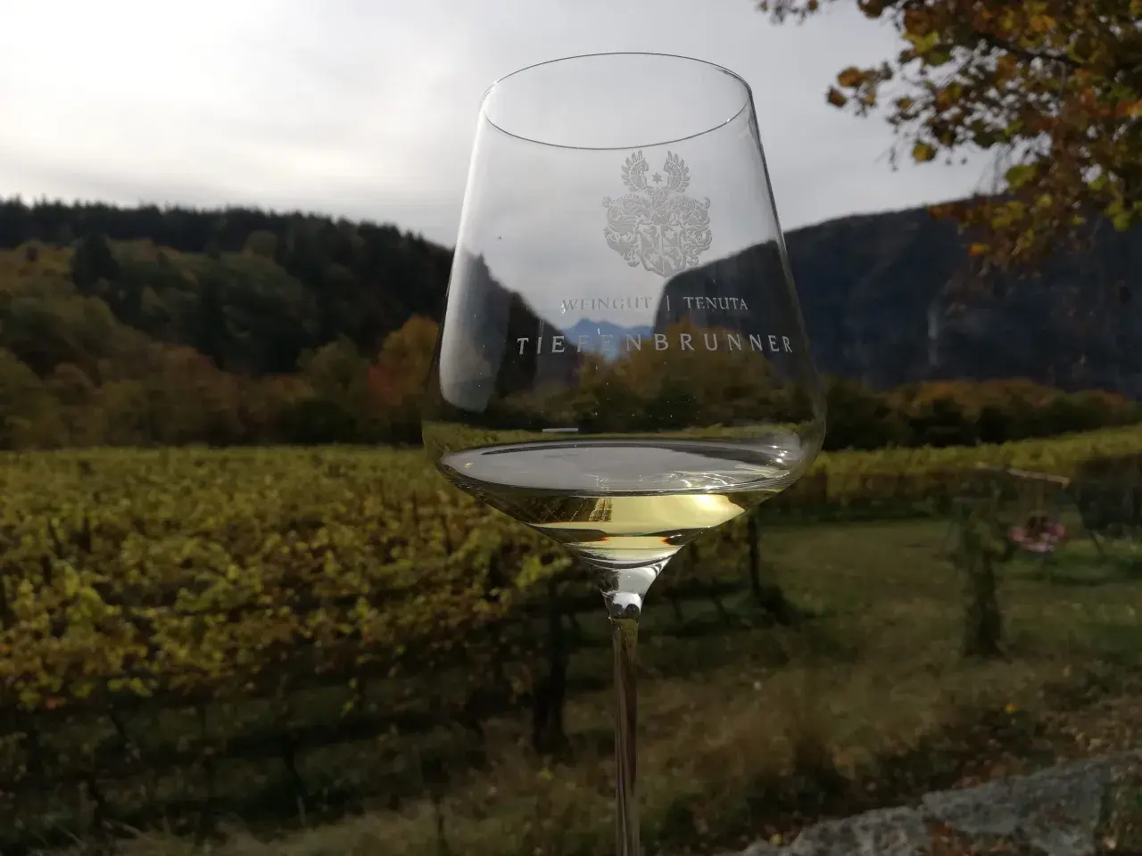 Calice di vino bianco con stemma, sullo sfondo vigneti autunnali e montagne. Un brindisi degno di un feldmaresciallo.