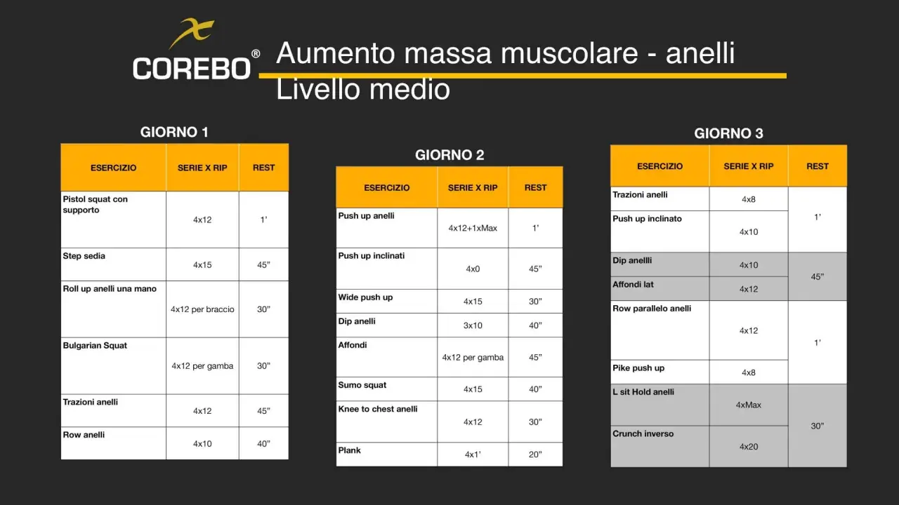 Scheda massa muscolare: allenamento per anelli su 3 giorni, con esercizi come pistol squat, push up e trazioni. Livello medio.