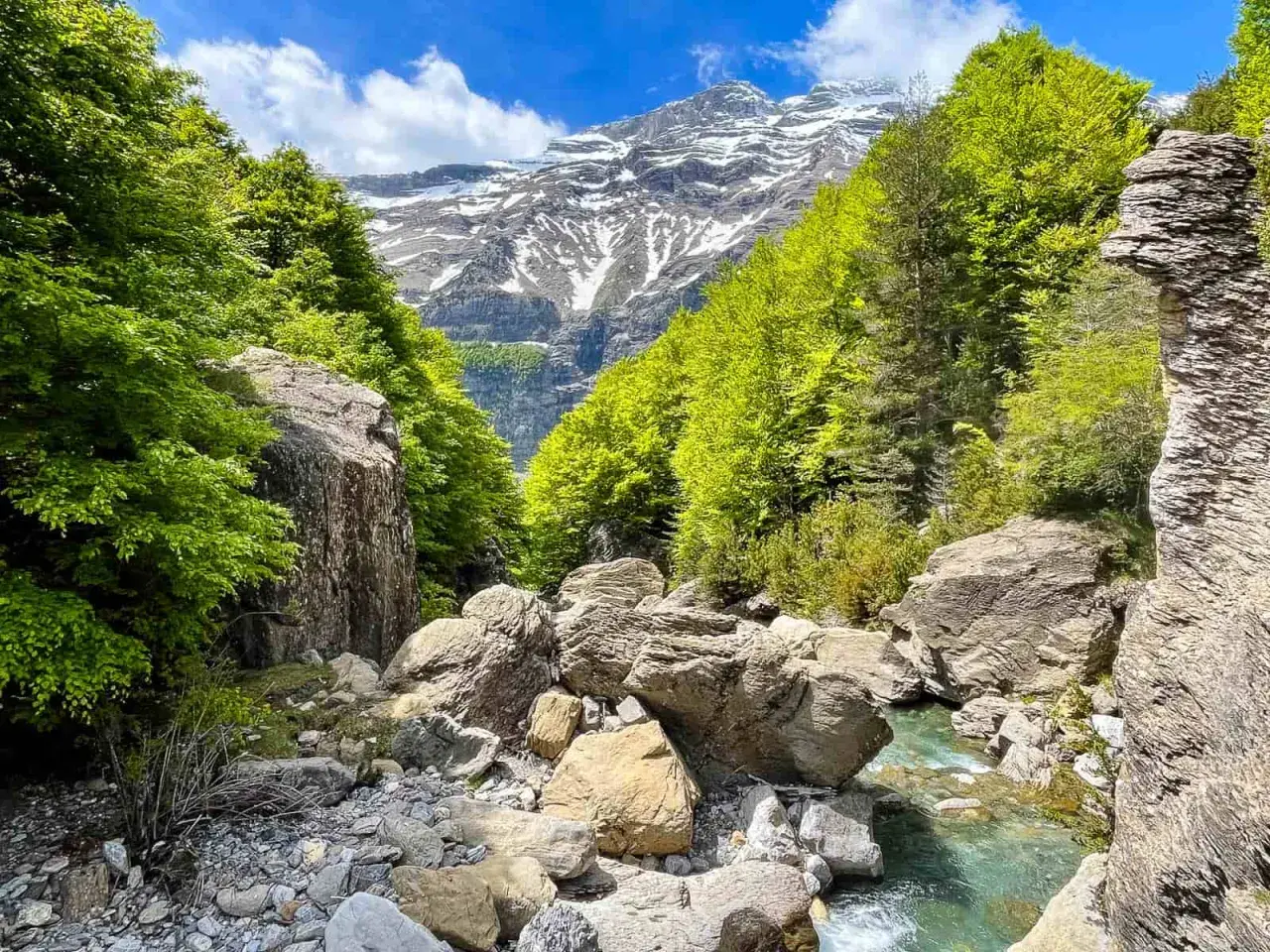Río Cinca serpentea entre rocas y bosques frondosos, con picos nevados al fondo. Un paisaje idílico que evoca la majestuosidad de la cascada del Cinca.