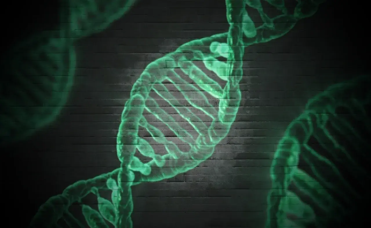 Zielona, świecąca struktura DNA na tle ciemnej ceglanej ściany. Może symbolizować badania nad zespołem Patau.