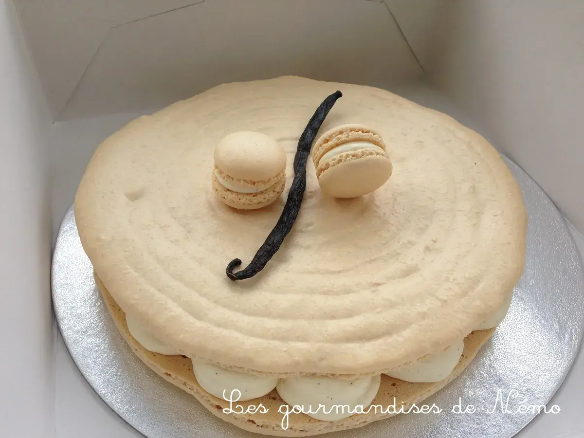 Un délicieux gâteau macaron à la vanille, orné de deux petits macarons et d'une gousse de vanille.