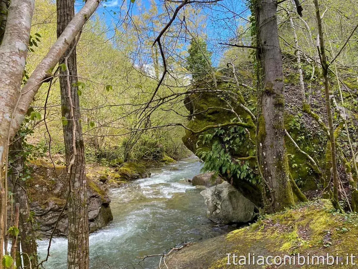 Un ruscello scorre tra rocce muschiose e alberi verdi, creando un'atmosfera serena che ricorda la cascata della Prata.