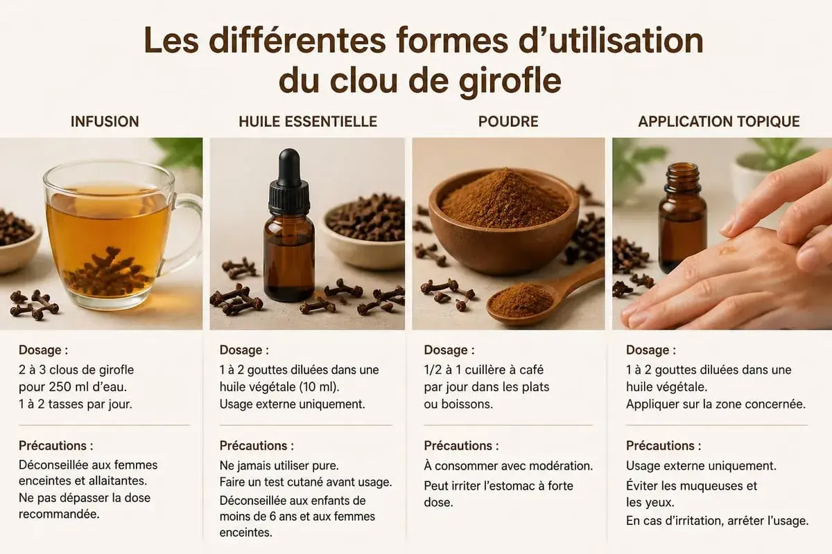 Infusion, huile, poudre, application topique : découvrez les bienfaits du clou de girofle et comment l'utiliser.